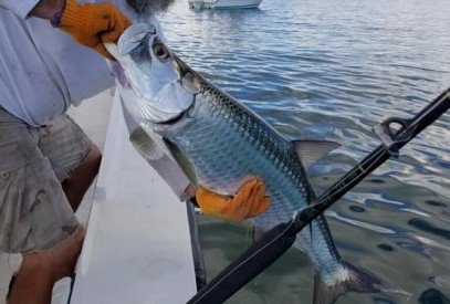 tarpon fishing charters key west florida