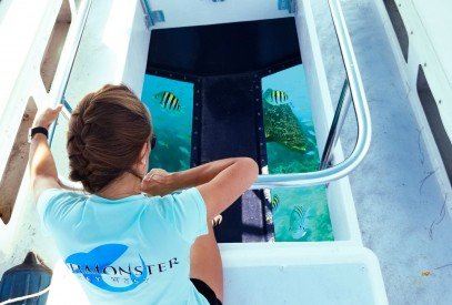 key west glass bottom boat charters