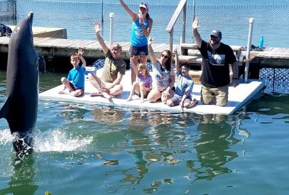 key west dolphin encounter