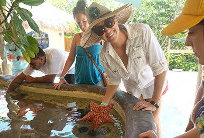key west florida aquarium tours