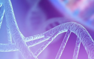 Omics in Drug Discovery ONLINE