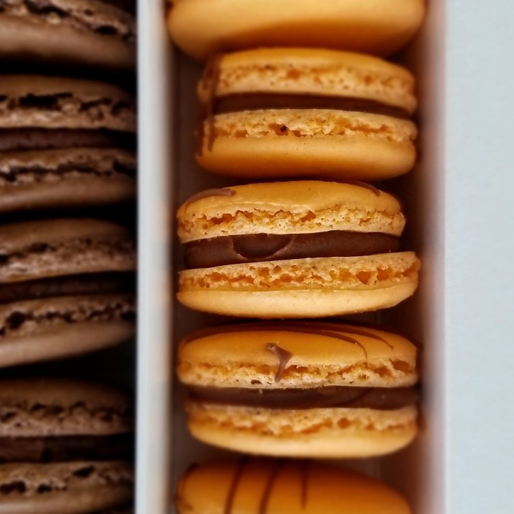 Macarons 101 with Ollia Macarons & Tea, Calgary and Edmonton