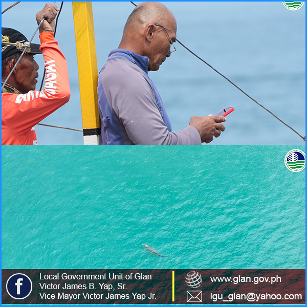 𝗗𝗘𝗡𝗥-𝟭𝟮 𝘂𝗿𝗴𝗲𝘀 𝗽𝘂𝗯𝗹𝗶𝗰 𝘁𝗼 𝘀𝘁𝗮𝘆 𝘃𝗶𝗴𝗶𝗹𝗮𝗻𝘁 𝗮𝗺𝗶𝗱 𝗰𝗿𝗼𝗰𝗼𝗱𝗶𝗹𝗲 𝘀𝗶𝗴𝗵𝘁𝗶𝗻𝗴𝘀 𝗶𝗻 𝗦𝗮𝗿𝗮𝗻𝗴𝗮𝗻𝗶 𝗕𝗮𝘆